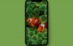 Download, Sfondi, iPhone X, Vecchi, iPhone