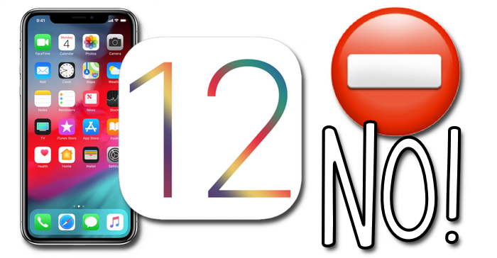 iOS 12, Download, Sviluppatori