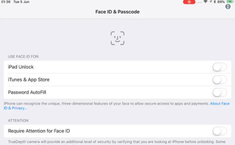 Face ID, Configurazione, iPad X