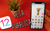 Apple rilascia la quarta beta pubblica del nuovo iOS 12.2
