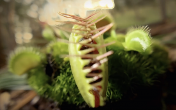 Apple pubblica 1 nuovo spot dello Shot on iPhone con paesaggi MOZZA FIATO Shot on iPhone, Terra, Madre Natura