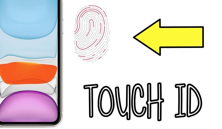 iPhone 2021, Touch ID, Display