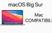 macOS Big Sur, Compatibili, Mac