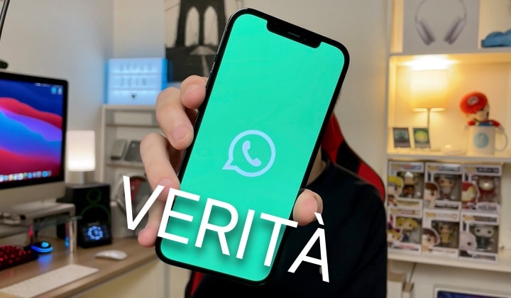 WhatsApp, Termini, Condizioni, Accettare