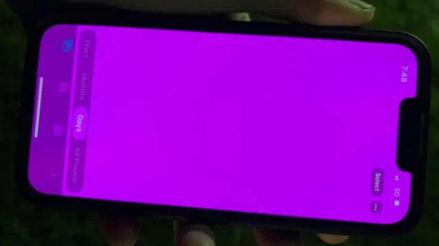 iOS 15, iOS 15.2.1, Bug, Problema, Schermo, Rosa