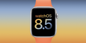 watchOS 8.5, Apple Watch, Bug, Ricarica, Rapida