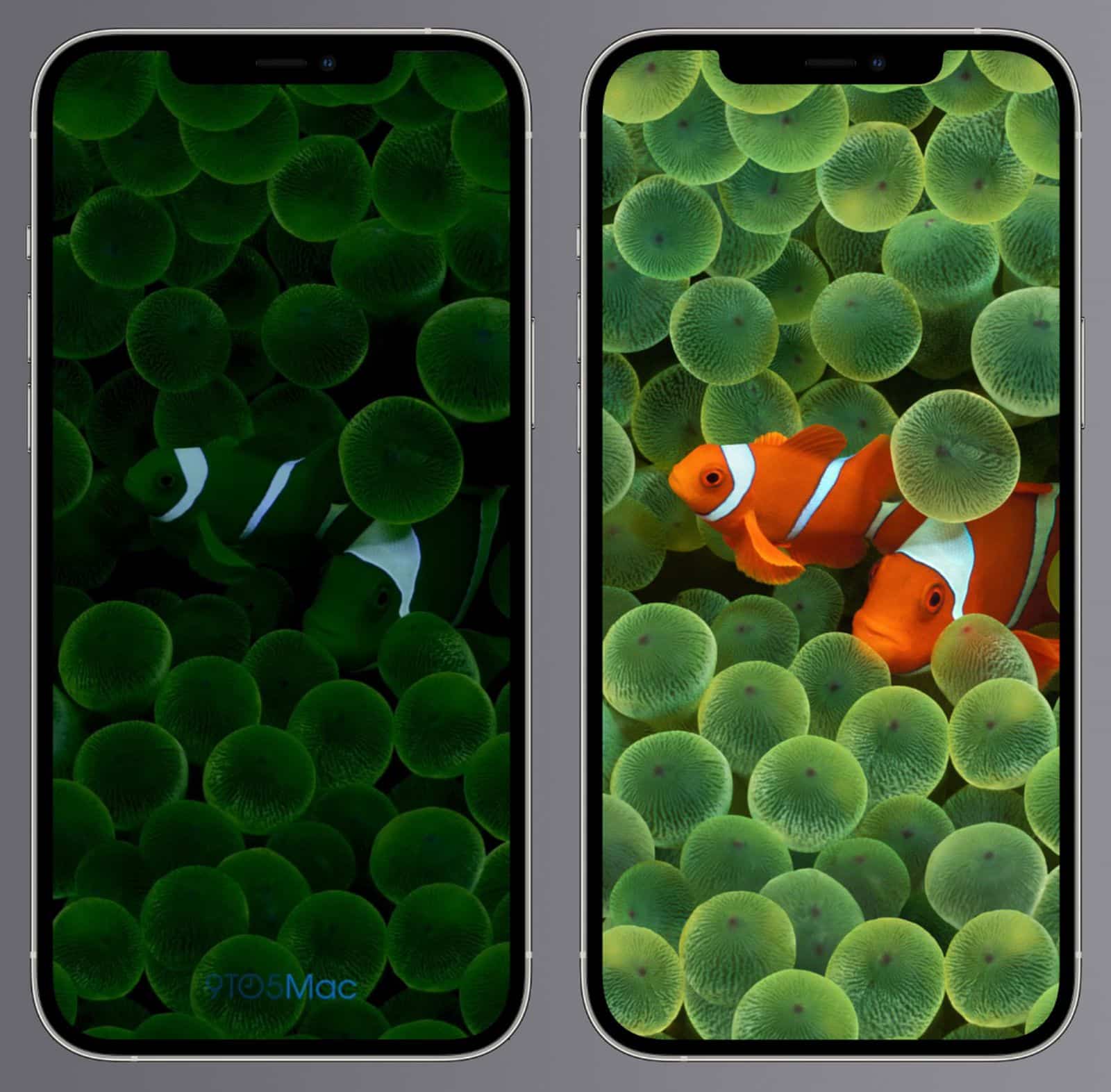 IPhone 14 Pro NUOVA CONFERMA Always On Display Su IOS 16