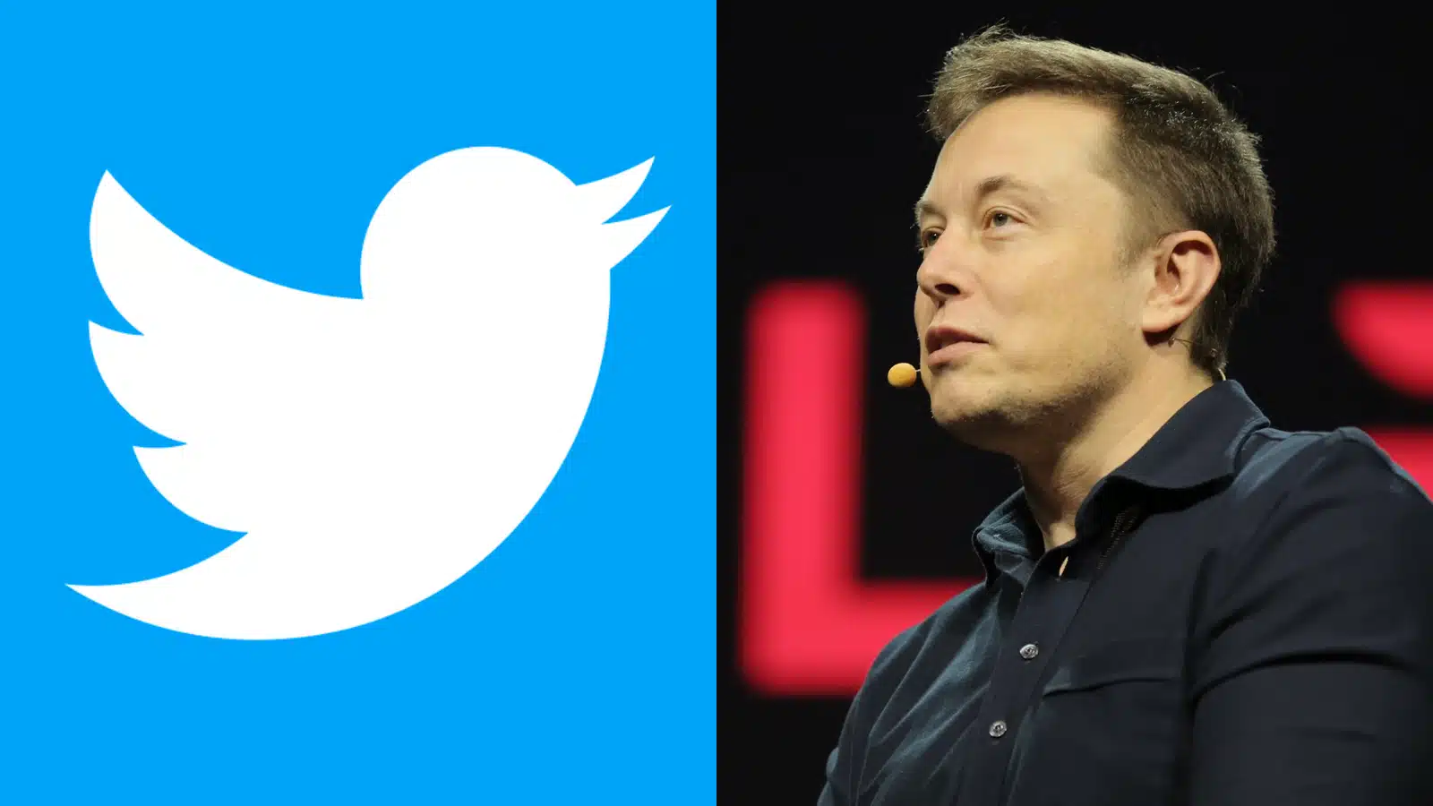 Elon Musk ACQUISTA Twitter e LICENZIA i VECCHI DIRIGENTI