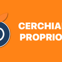 AppleZein, Candidatura, Team